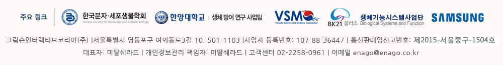 논문편집,에세이교정
