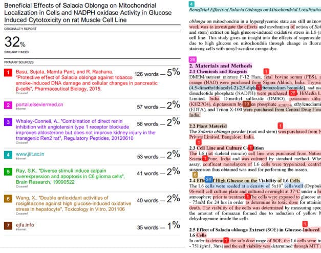 publication-support-plagiarism-check-ithenticate-report-sample